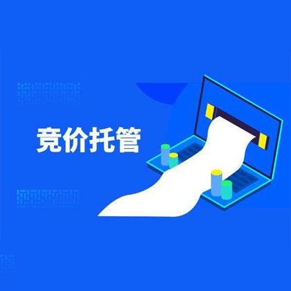 营销竞价账户托管运营